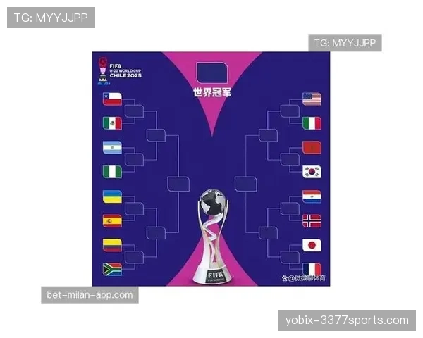 2026世界杯F组积分变化：末轮后排名正式确定